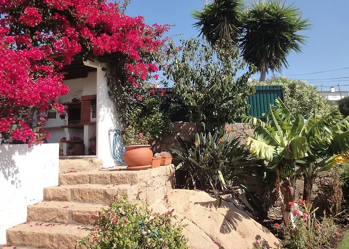 Orchidea Terrace